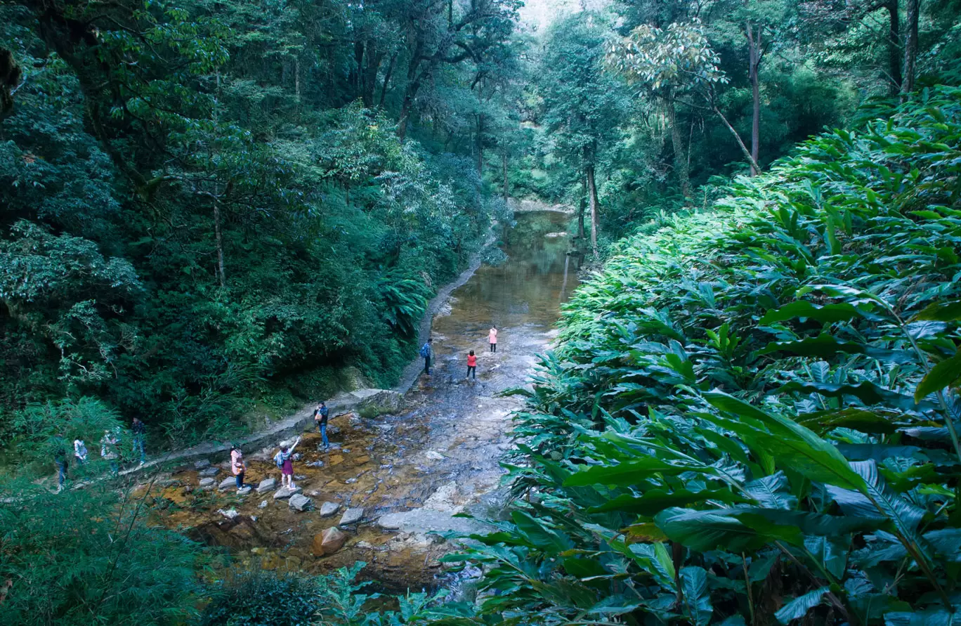 Golden Stream - on the way to Love Waterfall in Sapa.