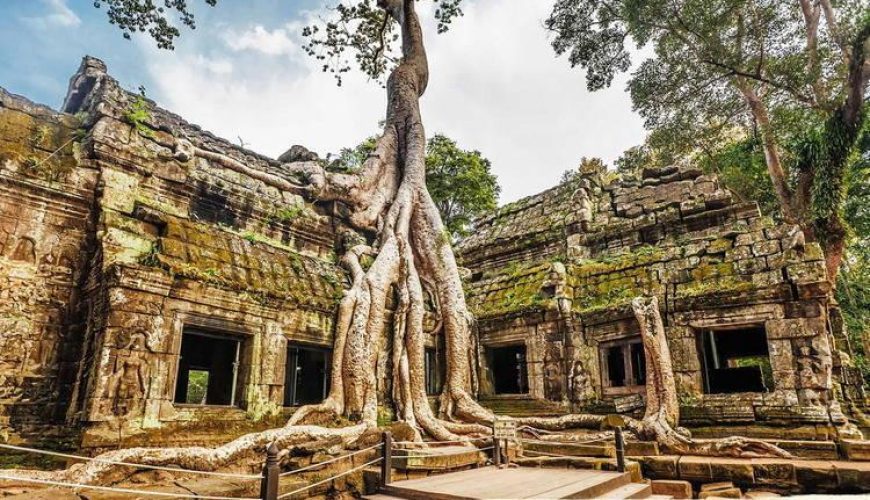 Ta Prohm Temple Tours in Cambodia