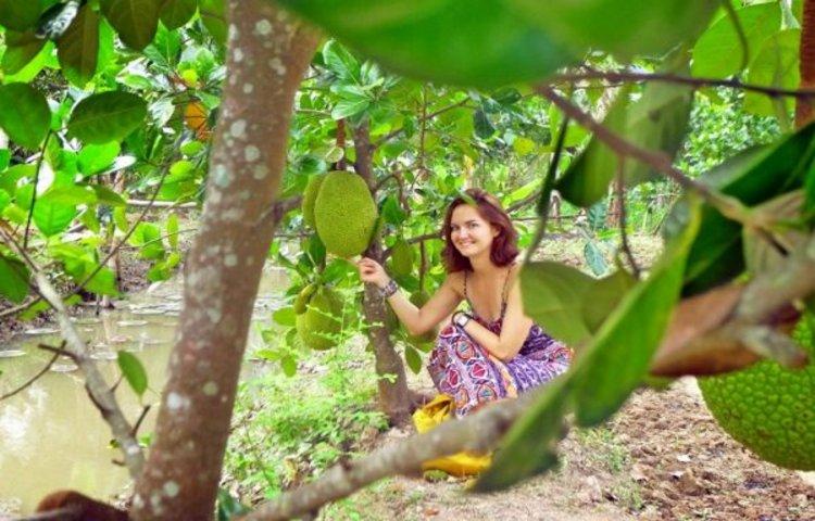 Fruit orchards