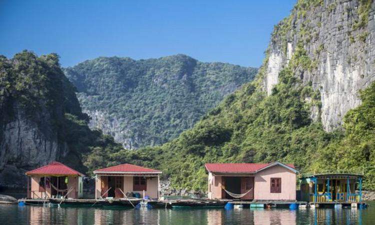 Halong Bay Cruises